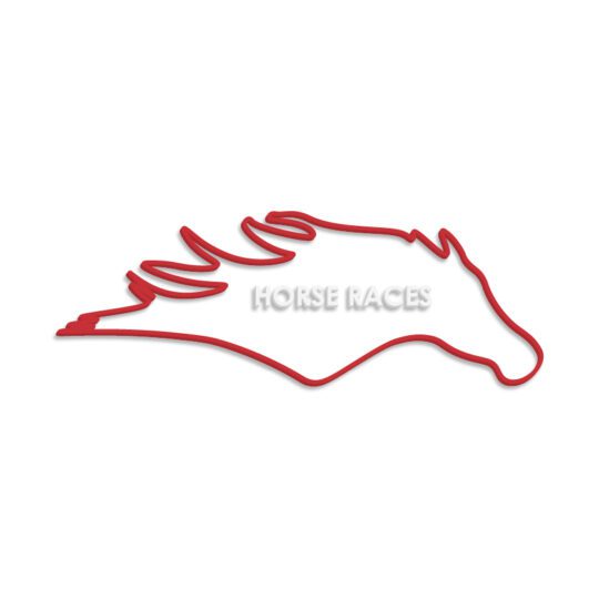 Horse Race